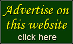Advertise on this website