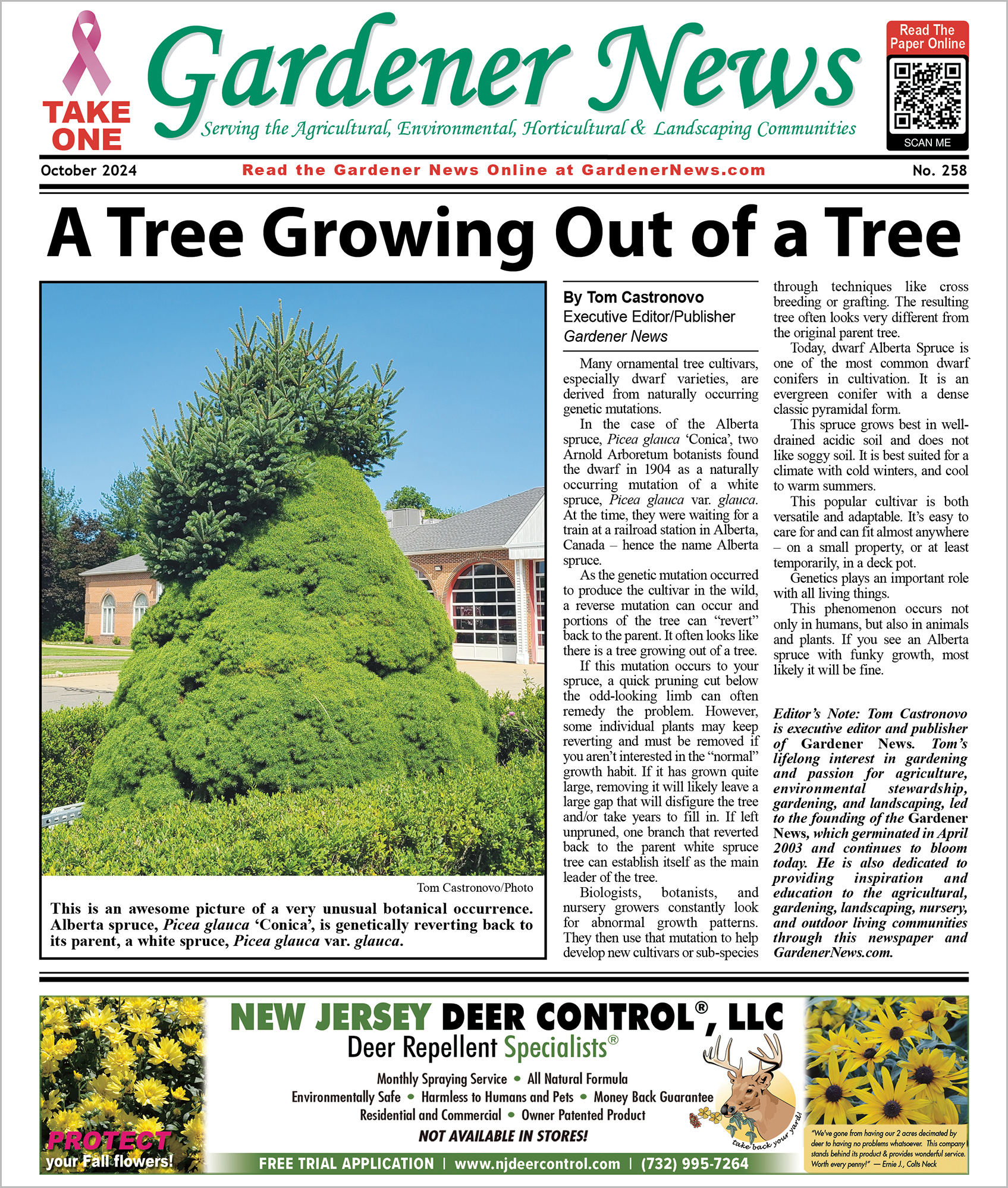 The October 2024 issue of the Gardener News